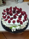 2014-11-12_dort-Pavlova