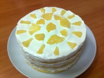 2015-02-04-naháč-piňacolada-kokosový-korpus-smetanová-náplň-ananas