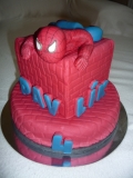 2016-03-12_Spiderman-pro-Páju