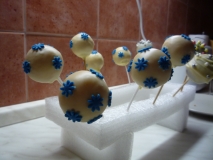 2016-12-17-narozeninová-cake-pops