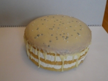 2017-04-08-piškot-rybíz-mascarpone-krém