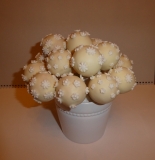 2017-04-23-svatební-cake-pops