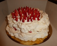 2017-05-08-dort-Pavlova