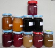 2017-09-02-myrobalán-myrobalán-s-limetou-a-bady.-rybíz-bílý-jahoda-rebarbora-mirabelka-mirabelka-se-zázvorem-bezinka-s-limetou-bezinka-s-citronem-rybíz-červený